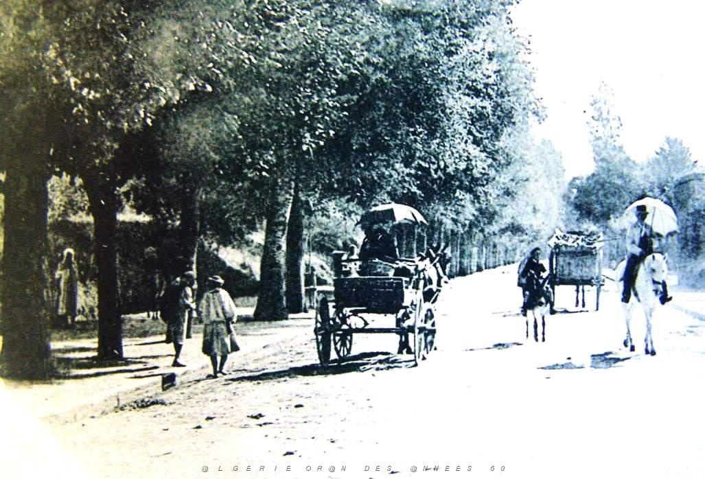 Images d'Algerie 048.jpg